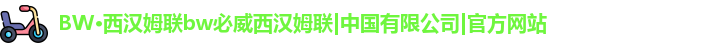 BW·西汉姆联bw必威西汉姆联|中国有限公司|官方网站